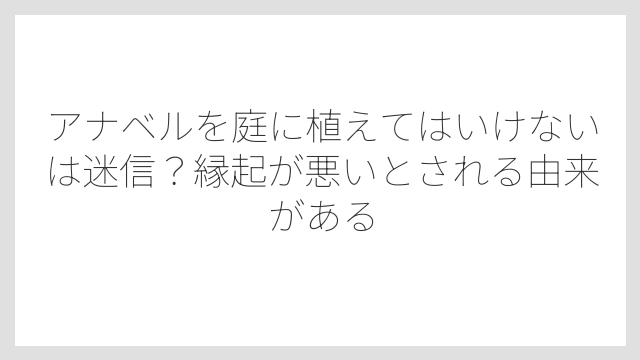 アナベルを庭に植えてはいけないは迷信？縁起が悪いとされる由来がある