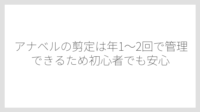 アナベルの剪定は年1〜2回で管理できるため初心者でも安心