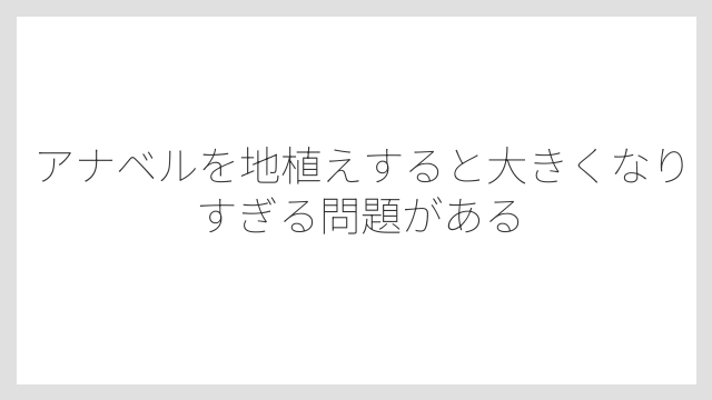 アナベルを地植えすると大きくなりすぎる問題がある