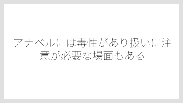 アナベルには毒性があり扱いに注意が必要な場面もある