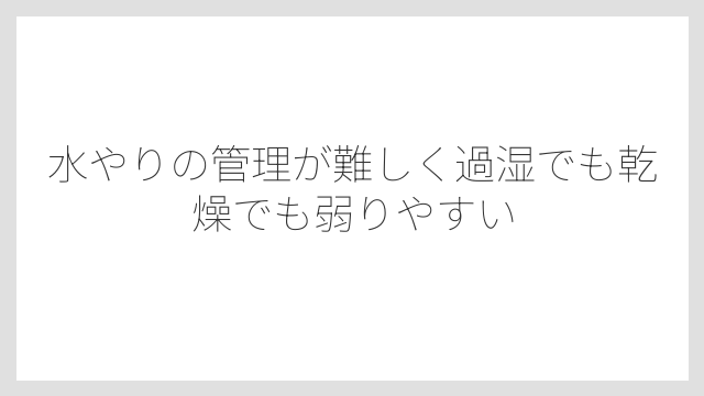 水やりの管理が難しく過湿でも乾燥でも弱りやすい