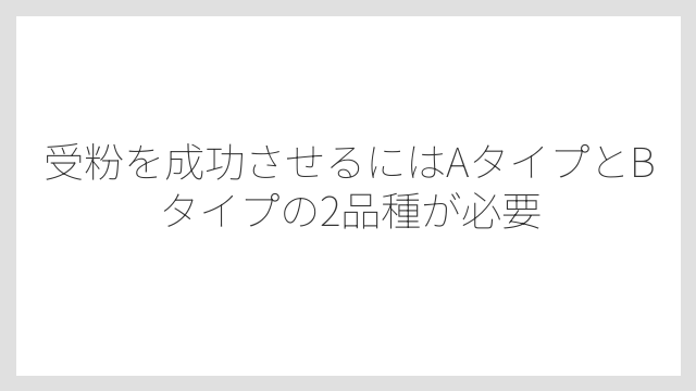 受粉を成功させるにはAタイプとBタイプの2品種が必要