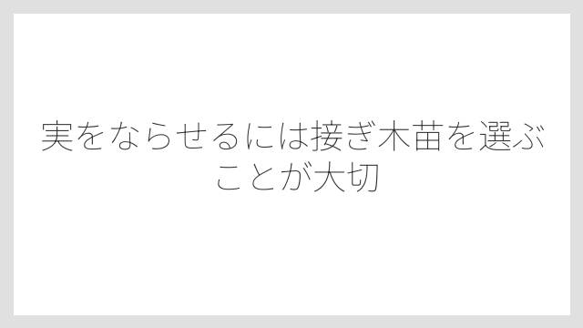 実をならせるには接ぎ木苗を選ぶことが大切