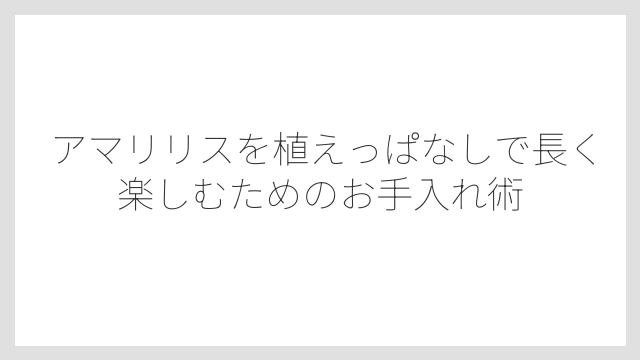 アマリリスの水やりは控えめが正解