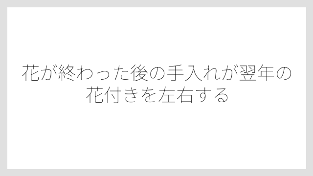 花が終わった後の手入れが翌年の花付きを左右する