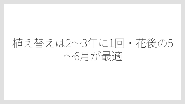 植え替えは2〜3年に1回・花後の5〜6月が最適
