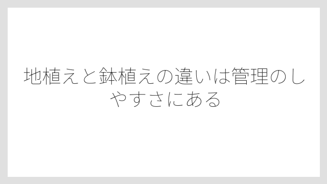 地植えと鉢植えの違いは管理のしやすさにある