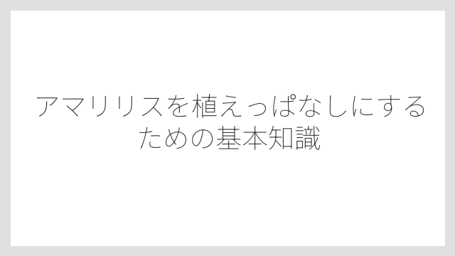 アマリリスを植えっぱなしにするための基本知識