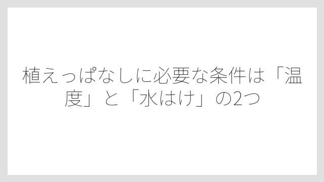 植えっぱなしに必要な条件は「温度」と「水はけ」の2つ