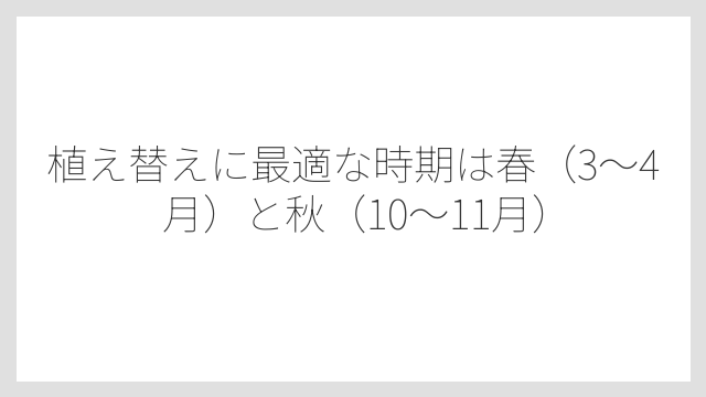 植え替えに最適な時期は春（3〜4月）と秋（10〜11月）
