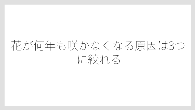 花が何年も咲かなくなる原因は3つに絞れる