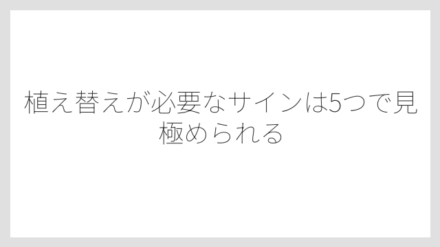 植え替えが必要なサインは5つで見極められる