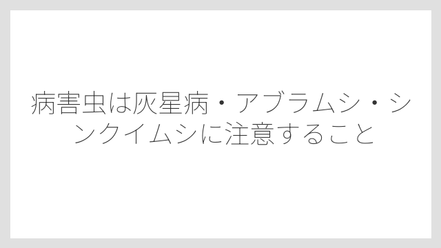 病害虫は灰星病・アブラムシ・シンクイムシに注意すること