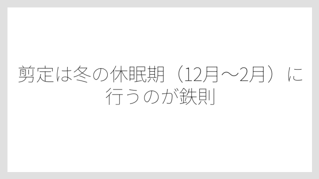 剪定は冬の休眠期（12月〜2月）に行うのが鉄則