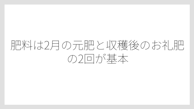 肥料は2月の元肥と収穫後のお礼肥の2回が基本