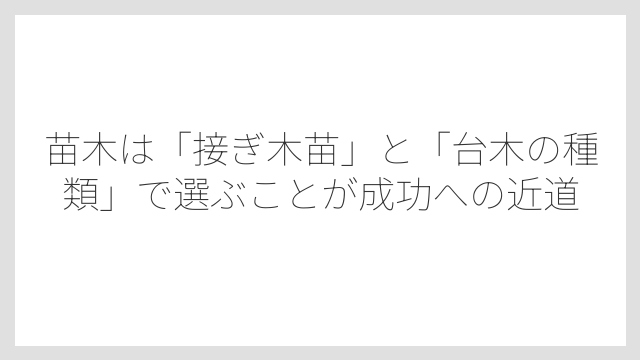 苗木は「接ぎ木苗」と「台木の種類」で選ぶことが成功への近道