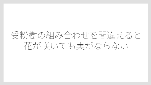 受粉樹の組み合わせを間違えると花が咲いても実がならない