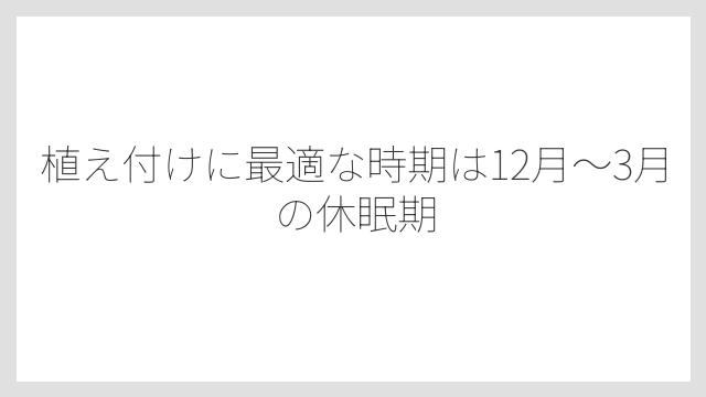 植え付けに最適な時期は12月〜3月の休眠期
