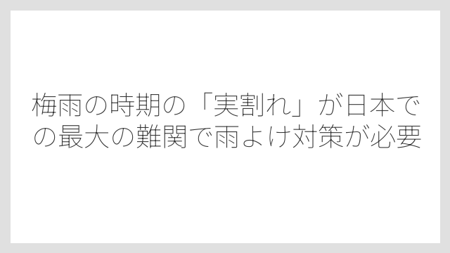 梅雨の時期の「実割れ」が日本での最大の難関で雨よけ対策が必要