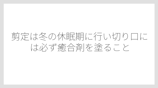 剪定は冬の休眠期に行い切り口には必ず癒合剤を塗ること