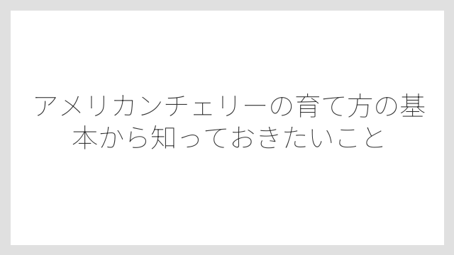 アメリカンチェリーの育て方の基本から知っておきたいこと
