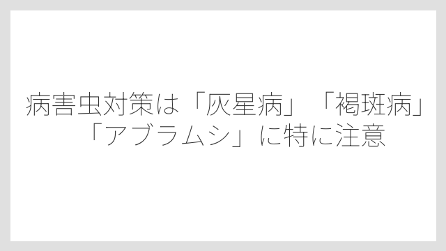 病害虫対策は「灰星病」「褐斑病」「アブラムシ」に特に注意
