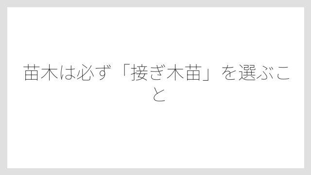 苗木は必ず「接ぎ木苗」を選ぶこと