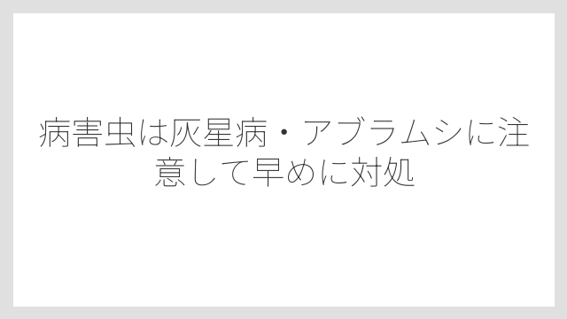 病害虫は灰星病・アブラムシに注意して早めに対処