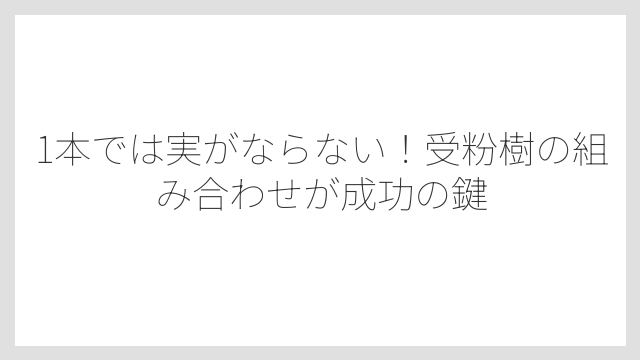 1本では実がならない！受粉樹の組み合わせが成功の鍵