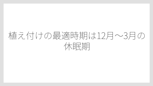 植え付けの最適時期は12月〜3月の休眠期