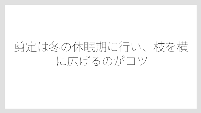 剪定は冬の休眠期に行い、枝を横に広げるのがコツ