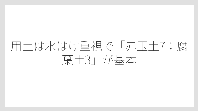 用土は水はけ重視で「赤玉土7：腐葉土3」が基本