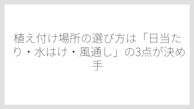植え付け場所の選び方は「日当たり・水はけ・風通し」の3点が決め手