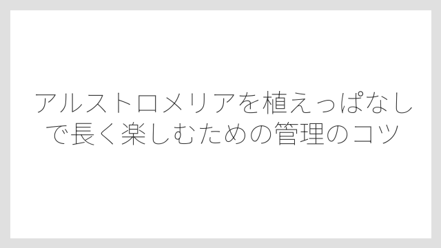 夏越しのポイントは「乾燥気味管理」と「マルチング」