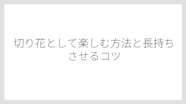 切り花として楽しむ方法と長持ちさせるコツ