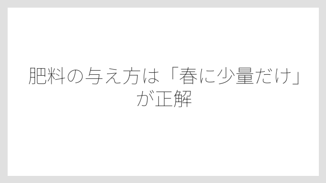 肥料の与え方は「春に少量だけ」が正解