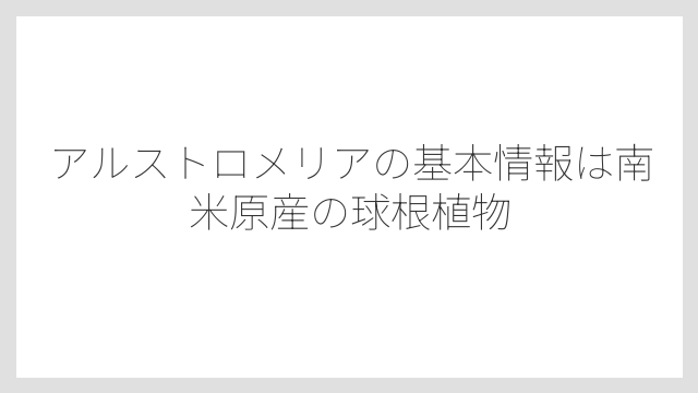 アルストロメリアの基本情報は南米原産の球根植物