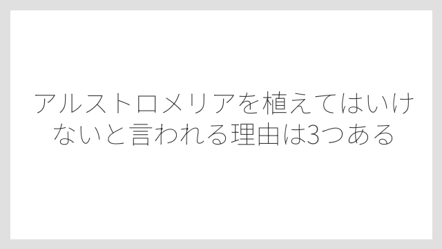 アルストロメリアを植えてはいけないと言われる理由は3つある
