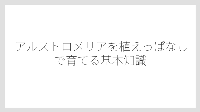 アルストロメリアを植えっぱなしで育てる基本知識