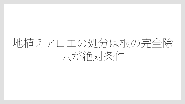 地植えアロエの処分は根の完全除去が絶対条件