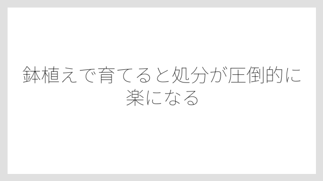 鉢植えで育てると処分が圧倒的に楽になる