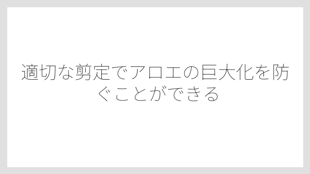 適切な剪定でアロエの巨大化を防ぐことができる