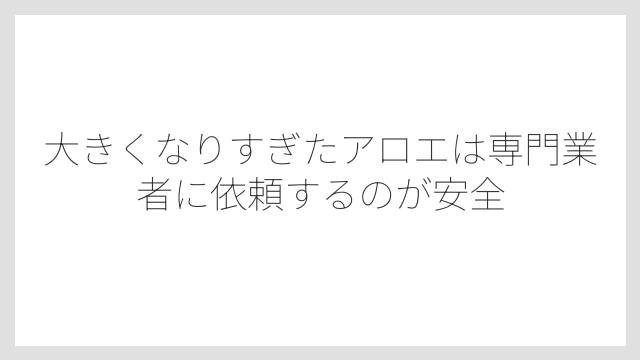 大きくなりすぎたアロエは専門業者に依頼するのが安全
