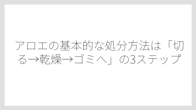 アロエの基本的な処分方法は「切る→乾燥→ゴミへ」の3ステップ