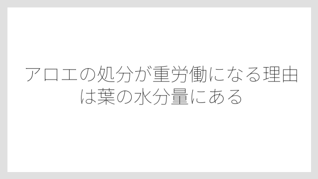 アロエの処分が重労働になる理由は葉の水分量にある