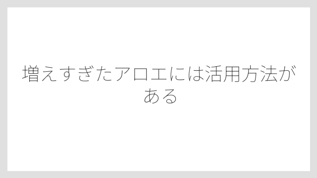 増えすぎたアロエには活用方法がある
