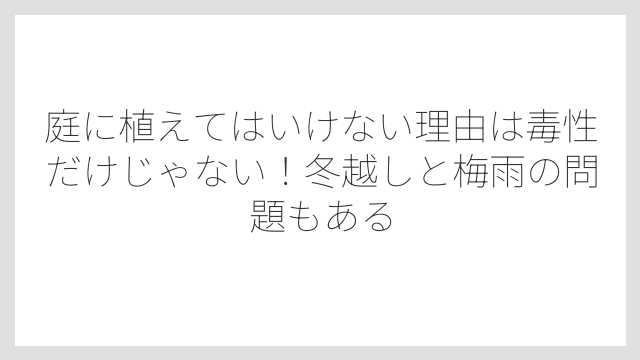 庭に植えてはいけない理由は毒性だけじゃない！冬越しと梅雨の問題もある