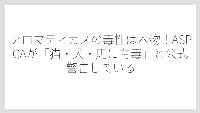 アロマティカスの毒性は本物！ASPCAが「猫・犬・馬に有毒」と公式警告している