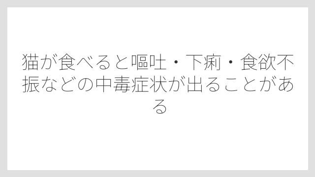 猫が食べると嘔吐・下痢・食欲不振などの中毒症状が出ることがある