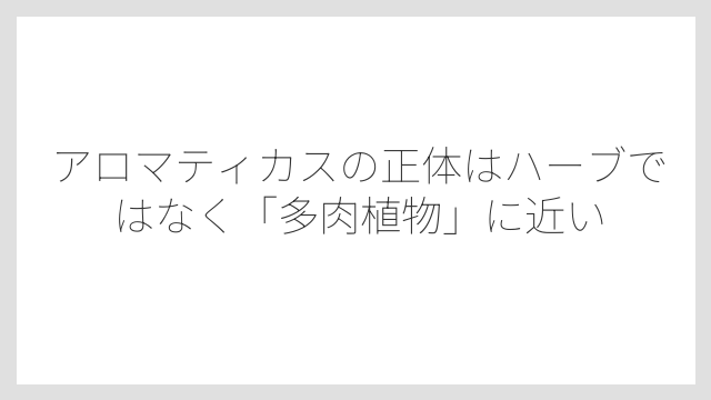 アロマティカスの正体はハーブではなく「多肉植物」に近い
